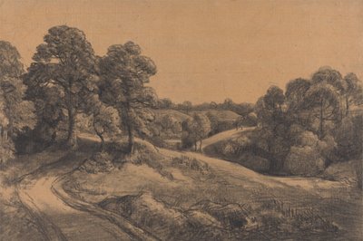 Bosrijke helling met een terugwijkende weg door John Constable