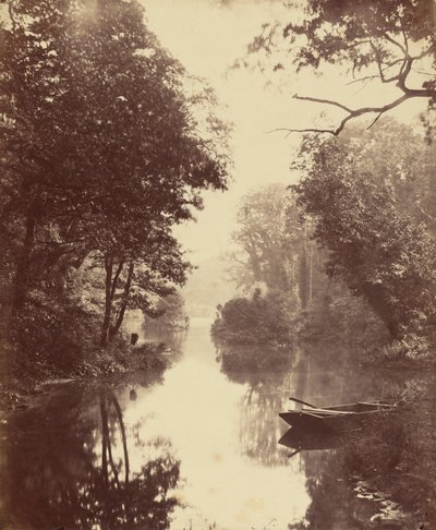 Een zomeravond, Penllergare,25 augustus door John Dillwyn Llewelyn