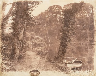 Bovenmeer, 1853-56 door John Dillwyn Llewelyn