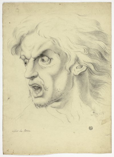 Angst door John Downman