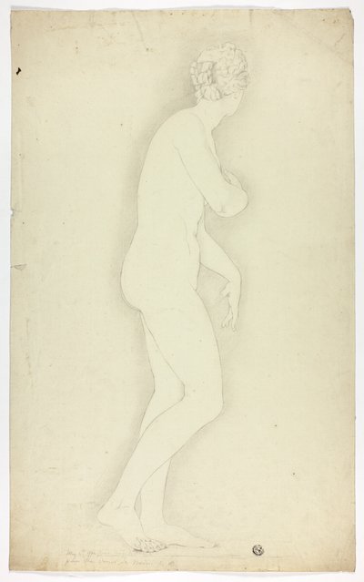 Standbeeld van Venus de