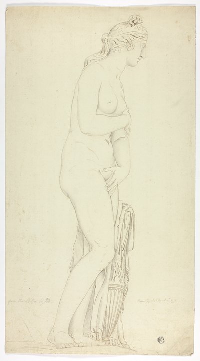 Antiek Standbeeld van Staande Venus door John Downman