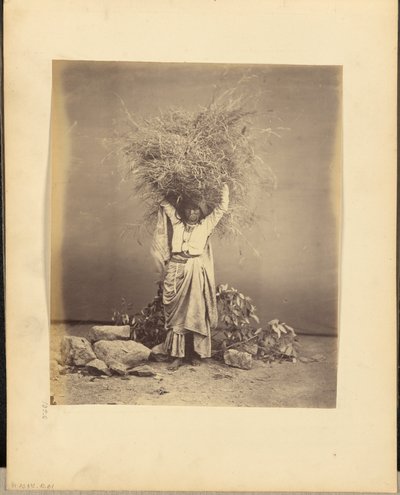 [Indiase boerin met takjes op haar hoofd]. door John Edward Saché