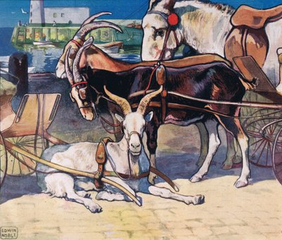 Rustende geiten, illustratie uit 