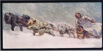 Huskies trekken een slee, illustratie uit 
