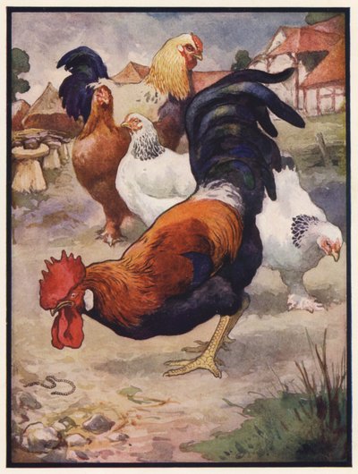 De Haan en het Juweel door John Edwin Noble