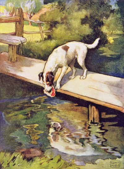 De Hond en de Schaduw uit 