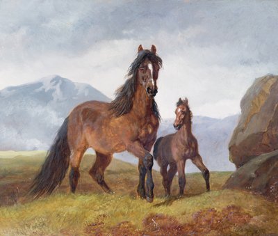 Een Welsh Bergmerrie en Veulen, 1854 door John Frederick Herring Senior