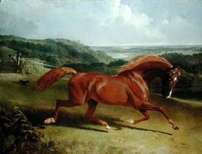 Galopperend paard in een landschap door John Frederick Herring Senior