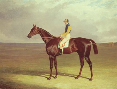 Mr. M. Stanleys Kruk op Newmarket Heath, 1833 door John Frederick Herring Senior