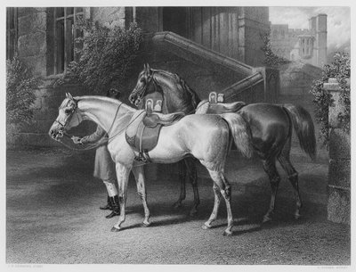 De Paarden van de Koningin, uit het schilderij in de Koninklijke Collectie door John Frederick Jr. Herring