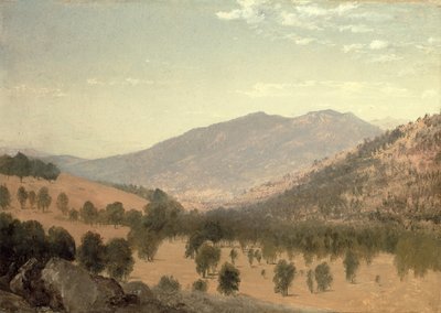 Bergen Park, Colorado door John Frederick Kensett