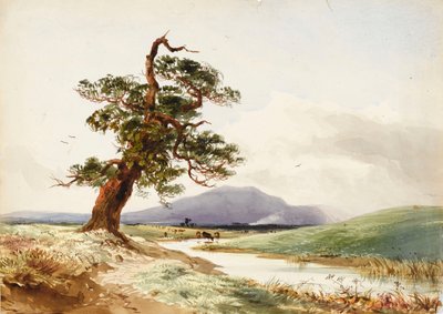 Uitzicht op een boom bij een rivier met drinkend vee en paarse heuvel daarachter door John Frederick William Herschel