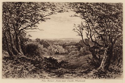 New Forest vanuit nabij Castle Malwood door John Fullwood