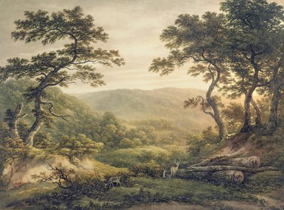 Naaldbos, Hampshire door John Glover