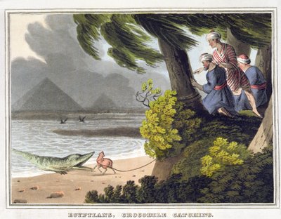 Egyptenaren vangen krokodillen door John Heaviside (after) Clark