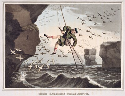 Vogelvangst van boven, gegraveerd door Matthew Dubourg, gepubliceerd door Edward Orme, 1813 door John Heaviside Clark