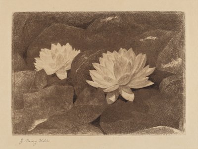 Waterlelies door John Henry Hill
