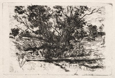 Landschap in de buurt van Cincinnati door John Henry Twachtman