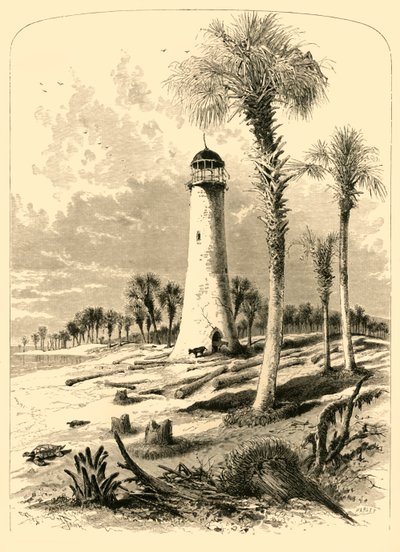 Bar Vuurtoren, monding van de St. John