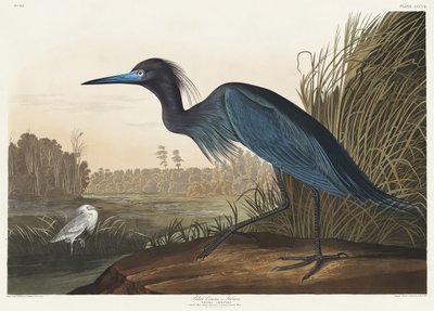  door John James Audubon