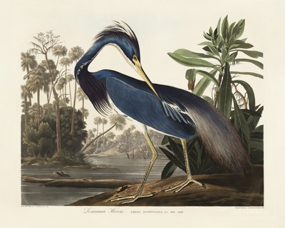  door John James Audubon