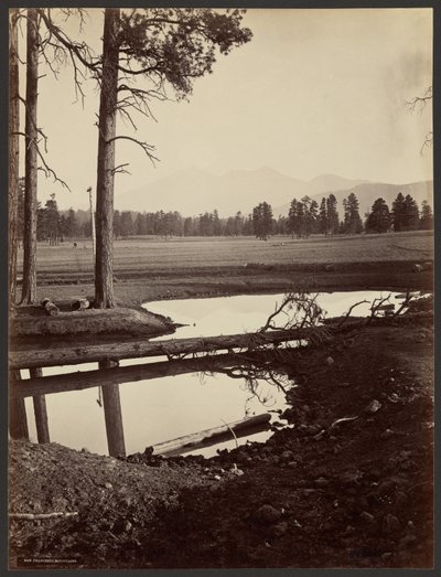 San Francisco Mountains, Arizona door John K. Hillers