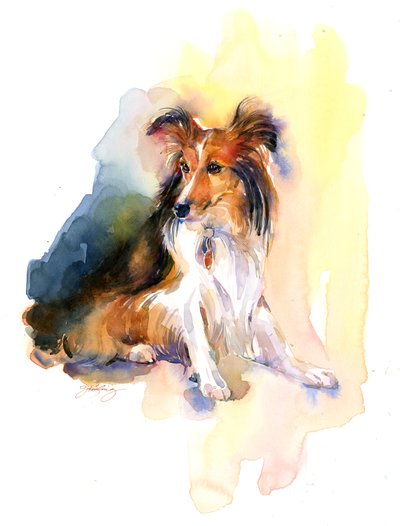 Sheltie portret, 2015 door John Keeling