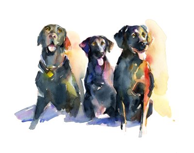 Drie Zwarte Labradors door John Keeling
