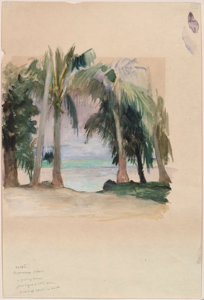 Palmen aan zee door John La Farge