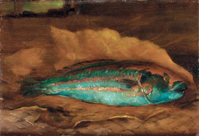 Studie van de papegaaivis, Samoa, 1890 door John La Farge or Lafarge
