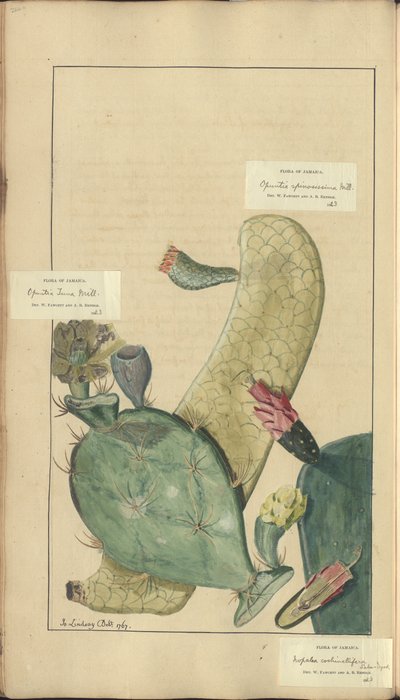 Een pagina uit de 