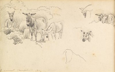 Ezel, 1824 door John Linnell