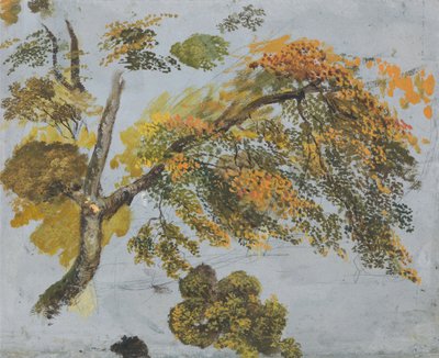 Baumstudie (Herbstlaub) door John Linnell