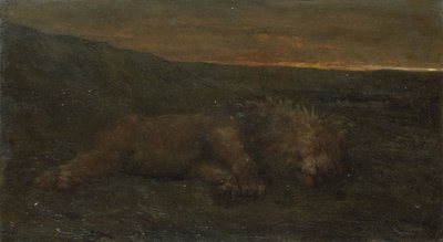 Slapende leeuw bij nacht door John Macallan Swan