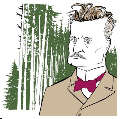 Jean Sibelius tegen achtergrond van Finse bossen door John Minnion