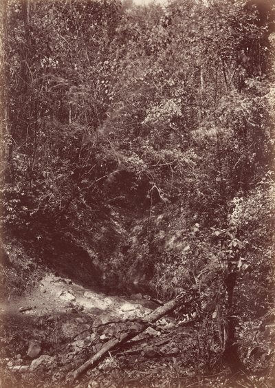 Expeditie Darien, 1871 (foto) door John Moran