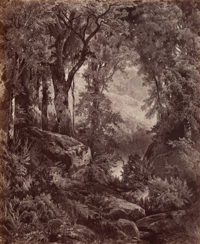 Eenzaamheid,1865 (foto) door John Moran