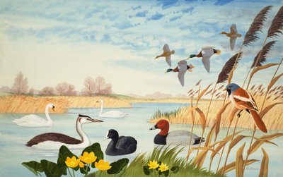 Natuurscène (gouache op papier) door John Rignall