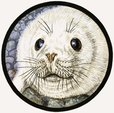Onze zeevriend de zeehond door John Rignall