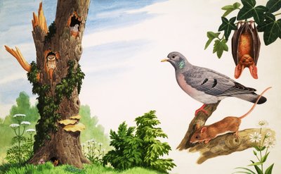 De dode boom door John Rignall