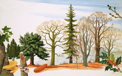 Bomen in de winter door John Rignall