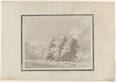 Paardenkastanje door John Robert Cozens