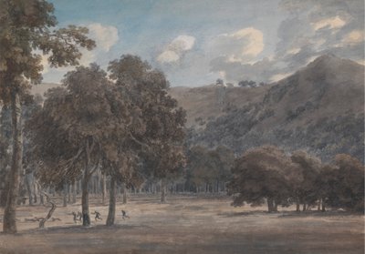 Il Parco degli Astroni - De beboste kraterbodem met jacht in uitvoering door John Robert Cozens