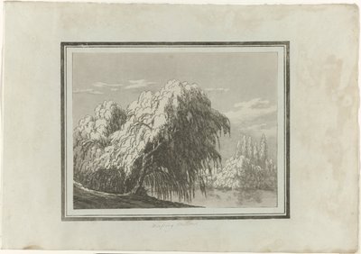 Treurwilg door John Robert Cozens