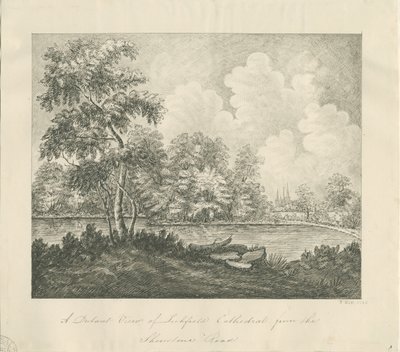 Lichfield Cathedral - West Zuidwest uitzicht (veraf) door John Robert Fernyhough