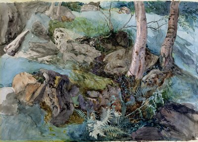 Studie van rotsen en varens in een bos bij Crossmount, Perthshire, 1843 door John Ruskin