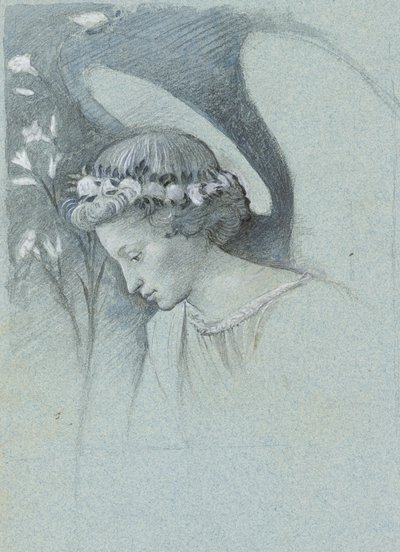 Studie van het hoofd van de engel Gabriël in Filippo Lippi
