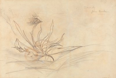 De rotsachtige oever van een rivier door John Ruskin