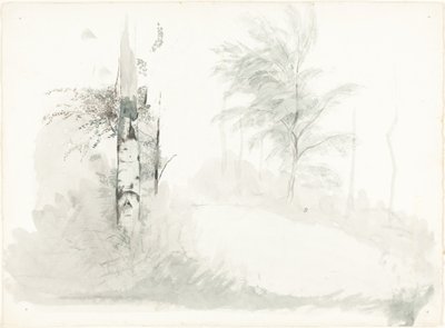 Boomstudie door John Ruskin